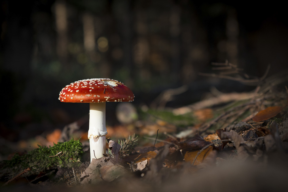 9. Platz Marcus Jakscha